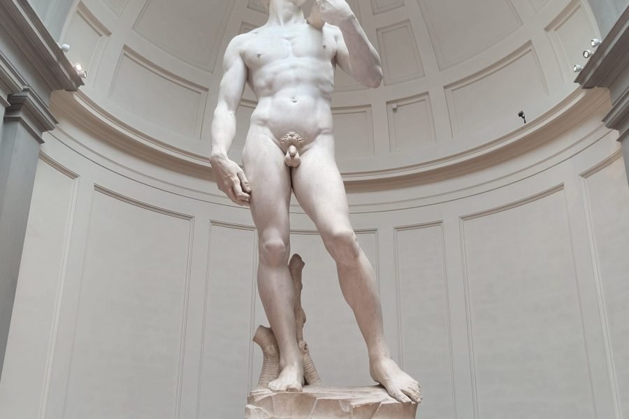 Accademia Gallery Entrance Ticket