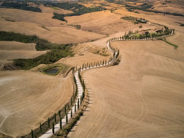 Montalcino – Montepulciano – Pienza Private Tour